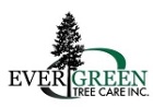 Evergreen Tree Care